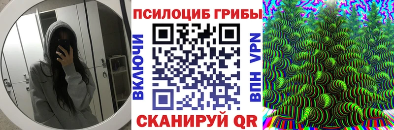 блэк спрут ONION  shop официальный сайт  Псилоцибиновые грибы MAGIC MUSHROOMS  Демидов 